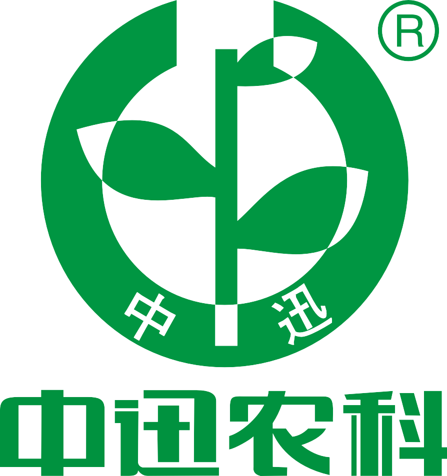 xunmei2012